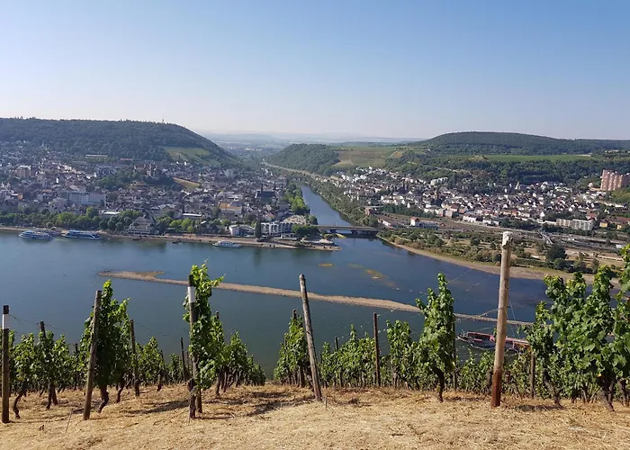 - A67931 Apartment Rüdesheim am Rhein