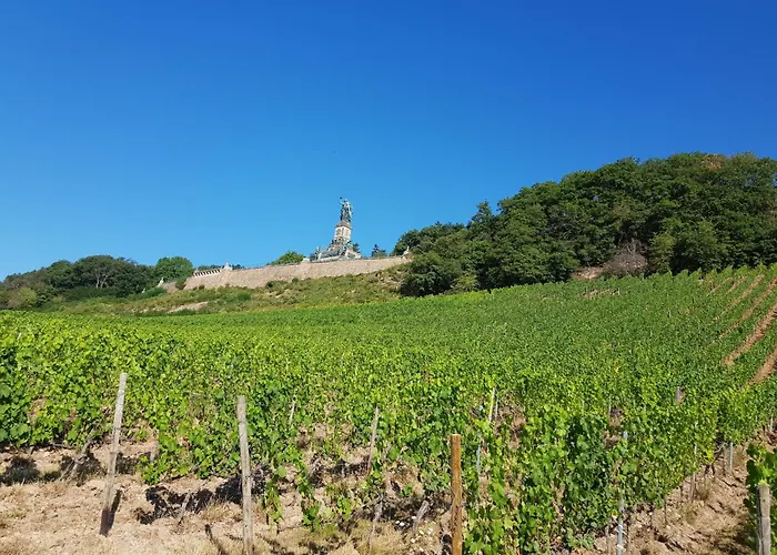 - A67931 Rüdesheim am Rhein